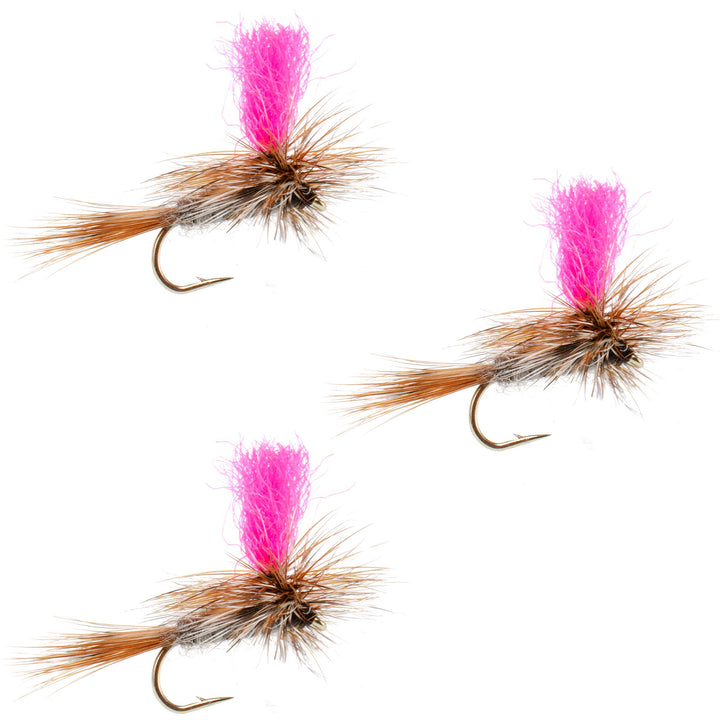 3 Pack Adams Hi-Viz Parachute Classic Dry Fly - Hook Size 12