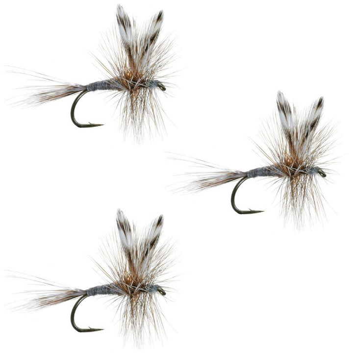 3 Pack Adams Classic Dry Fly - Hook Size 10