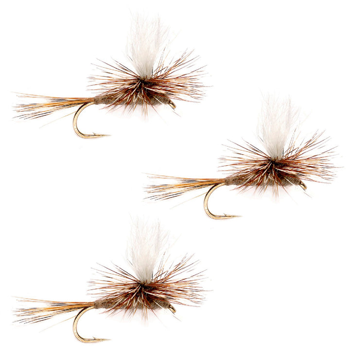 3 Pack Adams Parachute Classic Dry Fly - Hook Size 14