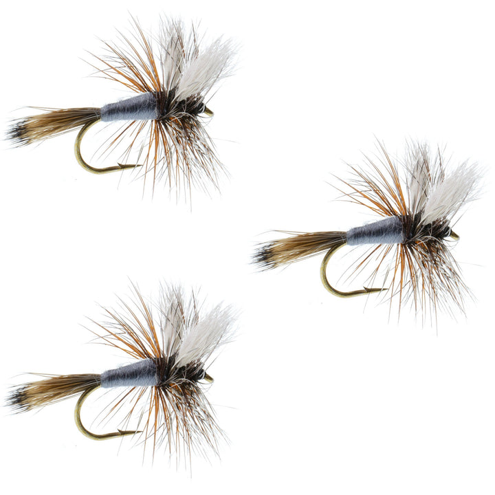 3 Pack Adams Wulff Classic Dry Fly - Hook Size 12