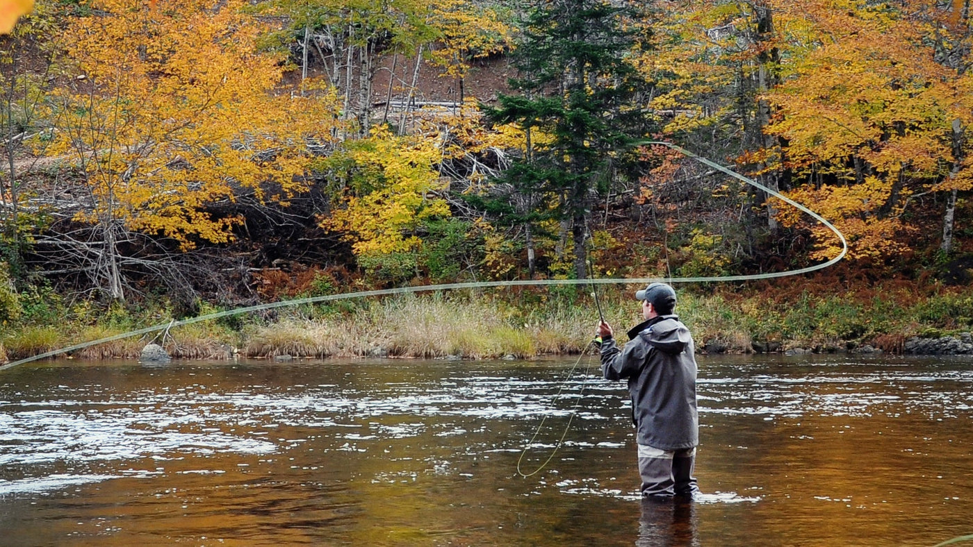 Pale Morning Dun PMD Classic Dry Fly - 6 Flies Hook Size 18