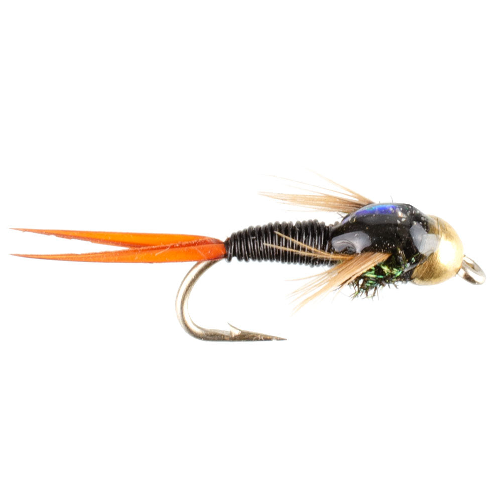 Bead Head Black Copper John Nymph Fly Fishing Flies - Set of 6 Flies Hook Size 18