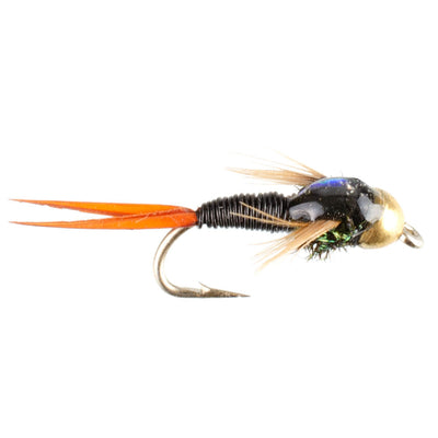 Bead Head Black Copper John Nymph Fly Fishing Flies - Set of 6 Flies Hook Size 18