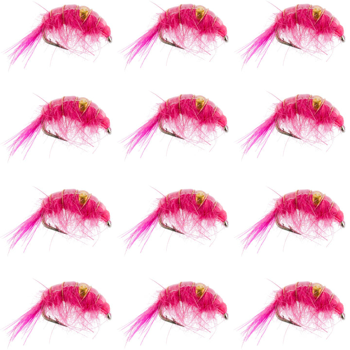 Pink Beaded Shrimp Scud Pattern - 1 Dozen Size 12 - Tailwater Lake Fly Fishing Nymph Flies