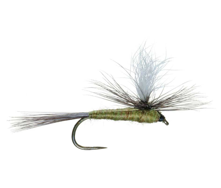 Barbless Parachute Blue Winged Olive BWO Classic Trout Dry Fly Fishing Flies - Set of 6 Flies Size 20