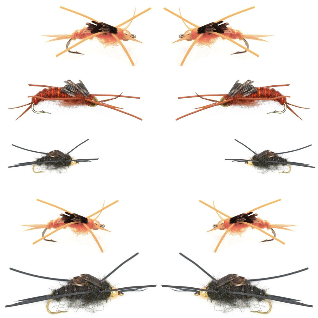 Basics Collection - Kaufmann's Tungsten Bead Stonefly Nymph Assortment - 10 Bead Head Rubber Legs Wet Flies - 5 Patterns - Hook Sizes 4, 6, 8, 10, and 12