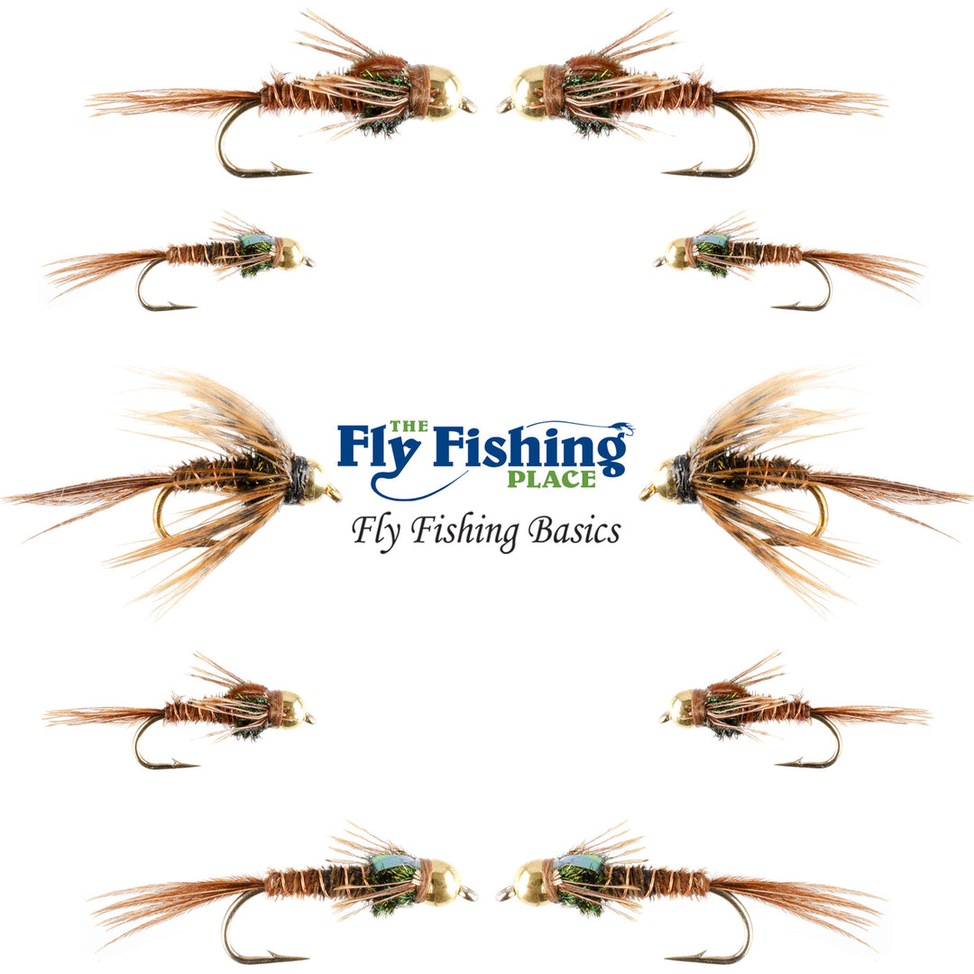 Basics Collection - Bead Head Pheasant Tail Nymph Assortment - 10 Wet Flies - Hook Sizes 14, 16, 18