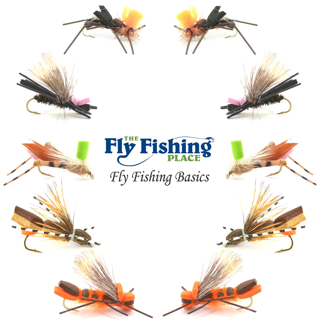 Basics Collection - Foam Hoppers Dry Fly Assortment #2 - 10 Dry Fishing Grasshopper Flies - 5 Patterns - Hook Size 10