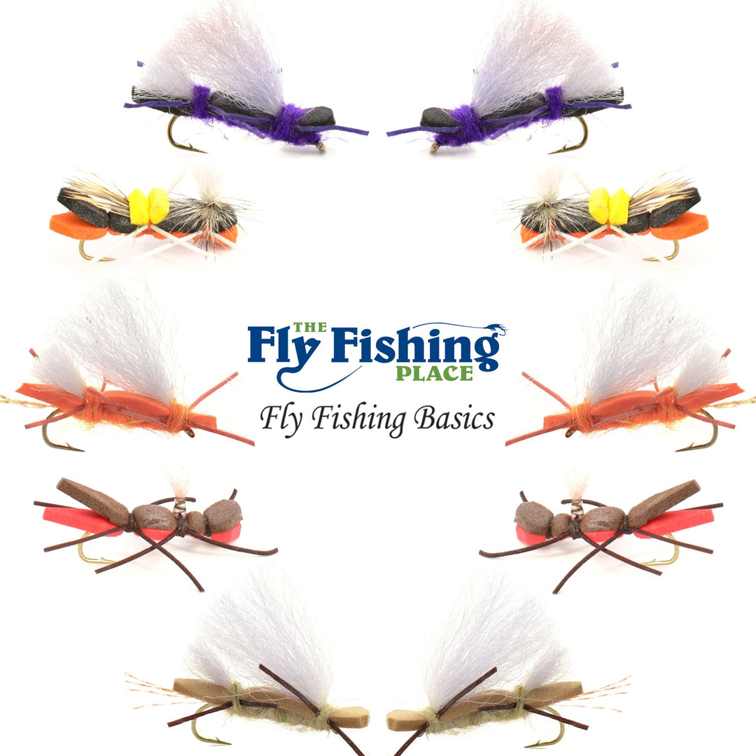 Basics Collection - Chernobyl Ant Foam Dry Fly Assortment - 10 Dry Fishing Grasshopper Flies - 5 Patterns - Hook Size 10