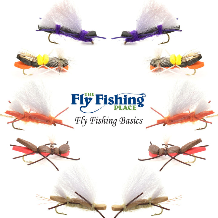 Basics Collection - Chernobyl Ant Foam Dry Fly Assortment - 10 Dry Fishing Grasshopper Flies - 5 Patterns - Hook Size 10