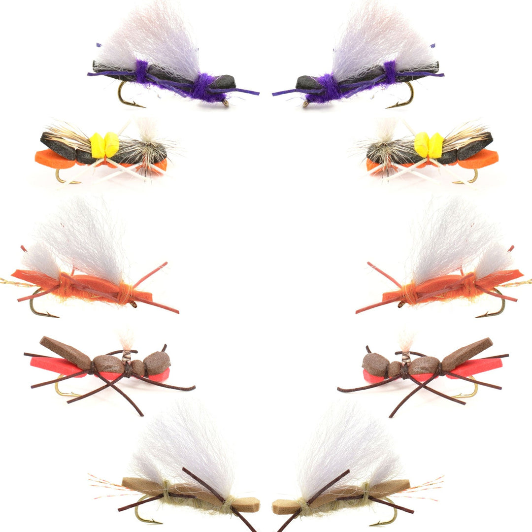 Basics Collection - Chernobyl Ant Foam Dry Fly Assortment - 10 Dry Fishing Grasshopper Flies - 5 Patterns - Hook Size 10