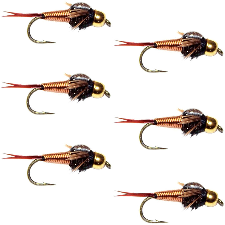 Tungsten Bead Head Copper John Nymph Fly Fishing Flies - Set of 6 Flies Hook Size 14