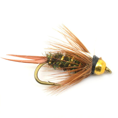 The Fly Fishing Place Basics Collection - Bead Head Nymph Assortment - 10 Wet Flies - 5 Patterns - Hook Sizes 12, 14, 16