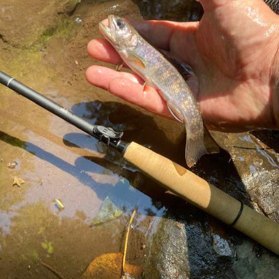 A freshly caught small trout is held in an angler's wet hand over a rocky, shallow stream. A lightweight Wasatch Tenkara Rods - Darth Quattro fishing rod with a cork handle rests on the rocks beside the stream, glistening under the warm sunlight. The scene captures the joy of fishing in a serene natural environment.