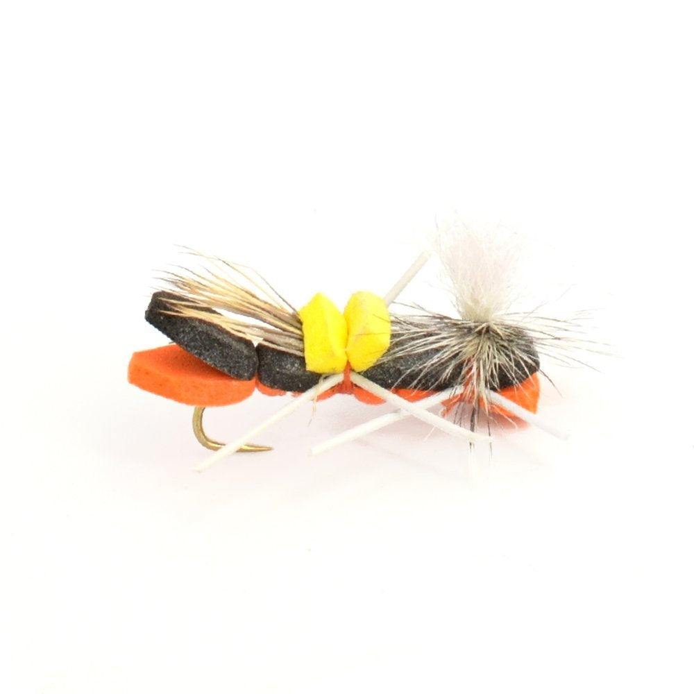 Basics Collection - Chernobyl Ant Foam Dry Fly Assortment - 10 Dry Fishing Grasshopper Flies - 5 Patterns - Hook Size 10