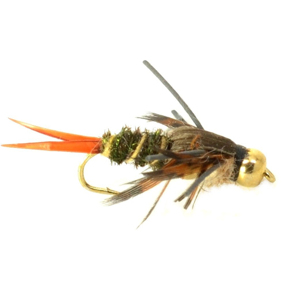 Basics Collection - Double Bead Head Nymph Assortment - 10 Wet Flies - 5 Patterns - Hook Size 14