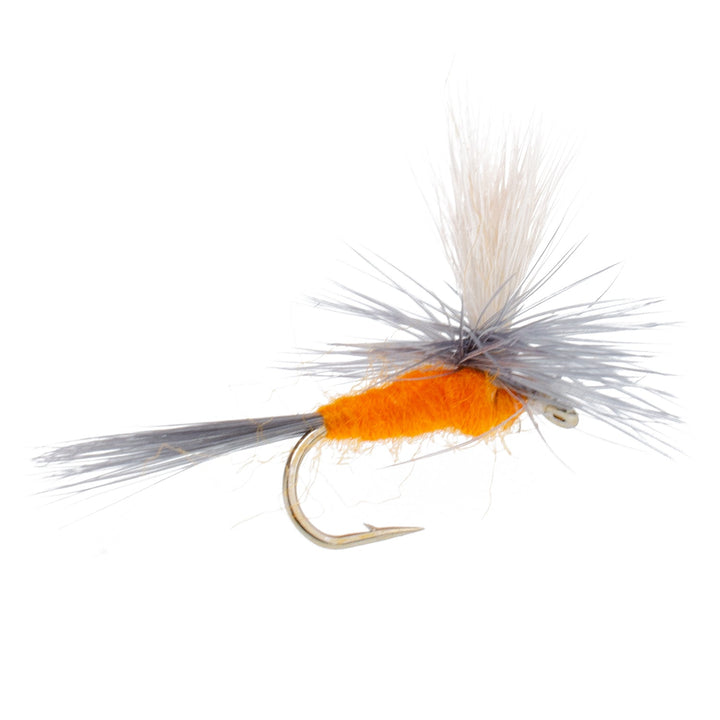 Eastern Trout Fly Assortment - 24 Essential Dry and Nymph Fly Fishing Flies Collection - Trout Flies with Gift Fly Box