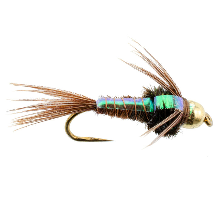 Barbless Bead Head Flashback Pheasant Tail Nymph Fly 1 Dozen Flies Hook Size 14