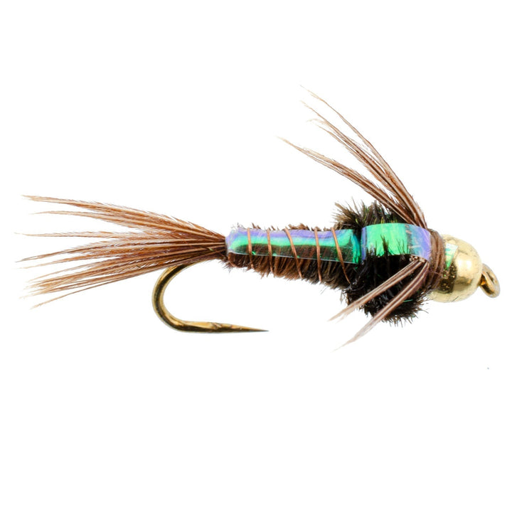 Barbless Bead Head Flashback Pheasant Tail Nymph Fly 6 Flies Hook Size 16