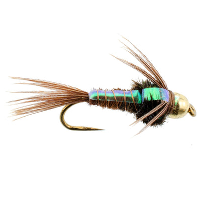 Barbless Bead Head Flashback Pheasant Tail Nymph Fly 1 Dozen Flies Hook Size 18