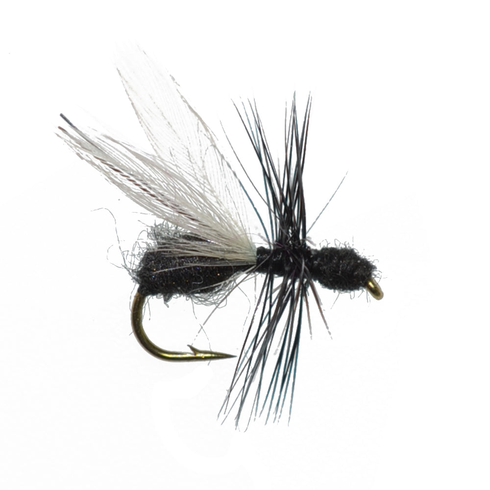 The Fly Fishing Place Basics Collection - Terrestrials Dry Fly Assortment - 10 Dry Fishing Flies - Hopper, Ant and Beetle Fishing Fly Patterns - Hook Sizes 10, 12 and 14