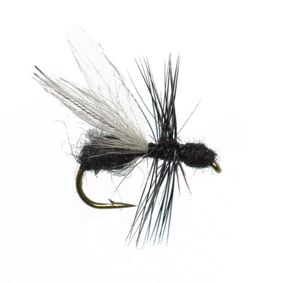 The Fly Fishing Place Basics Collection - Classic Dry Fly Assortment - 10  Dry Fishing Flies - 5 Patterns - Hook Sizes 12, 14, 16
