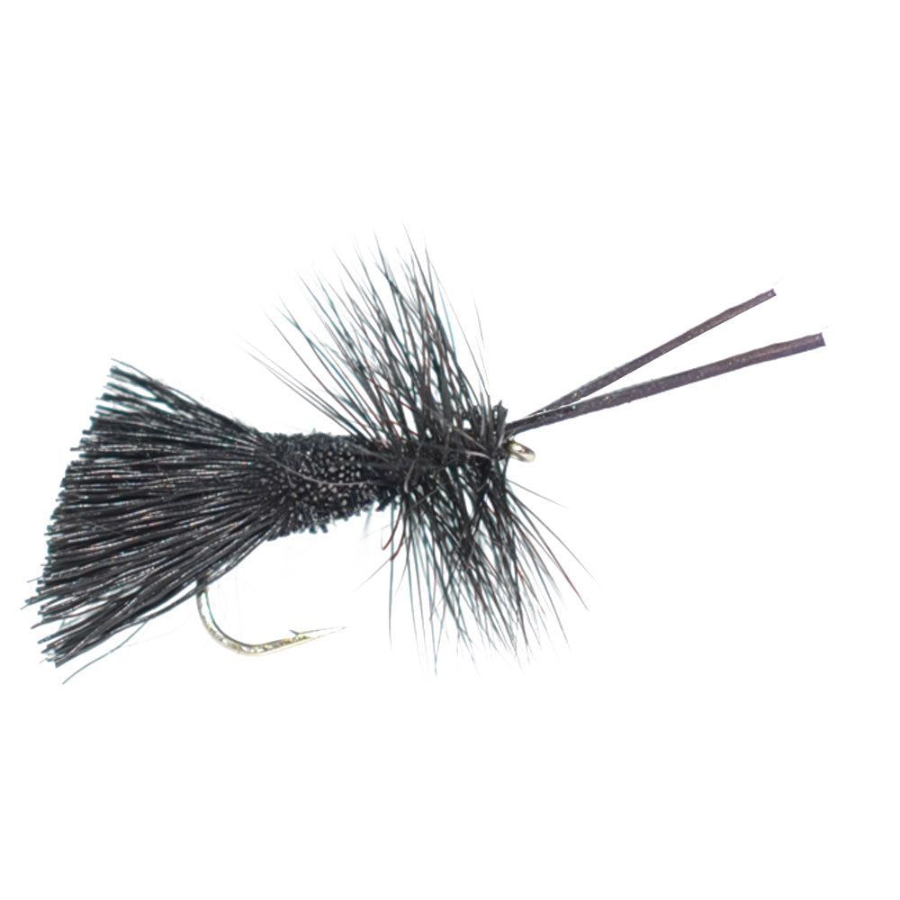 Goddard Caddis Black Dry Fly - 6 Flies Hook Size 12