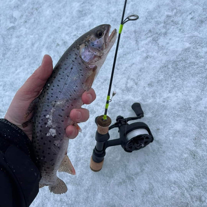 A close-up of a hand holding a freshly caught trout next to a Wasatch Tenkara Rods - Ice Breaker ice fishing rod with a cork handle and neon green accents, lying on a frozen lake.