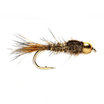 The Fly Fishing Place Basics Collection - Bead Head Nymph Assortment - 10 Wet Flies - 5 Patterns - Hook Sizes 12, 14, 16