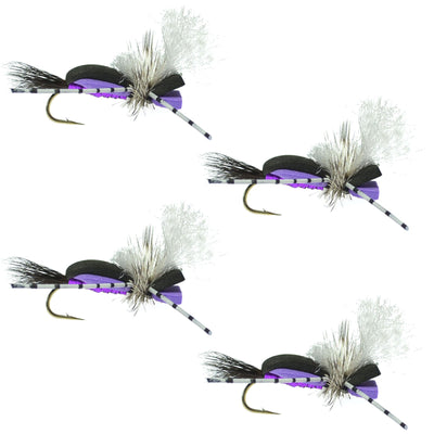 Hippie Stomper Black Purple Foam Body Grasshopper Dry Fly - 4 flies Size 14