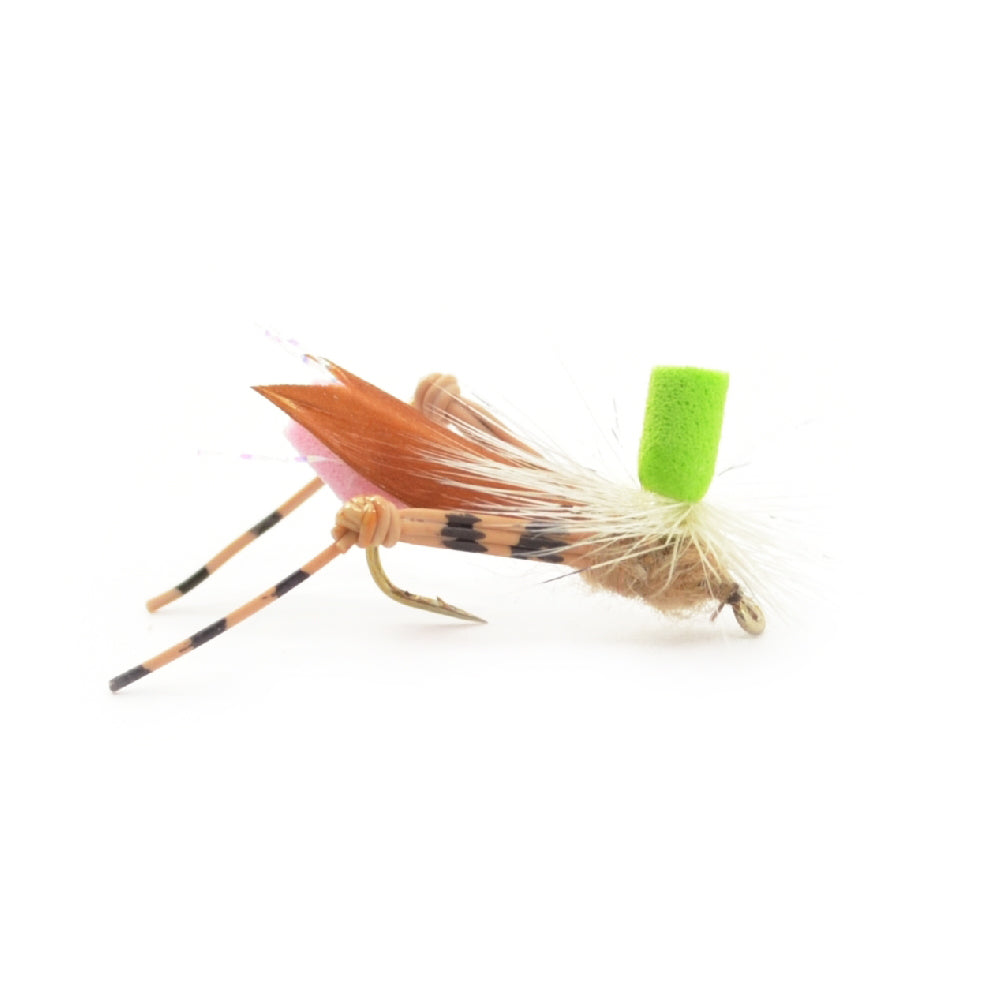 Basics Collection - Foam Hoppers Dry Fly Assortment #2 - 10 Dry Fishing Grasshopper Flies - 5 Patterns - Hook Size 10