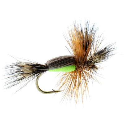 3 Pack Chartreuse Humpy Classic Hair Wing Dry Fly - Hook Size 10