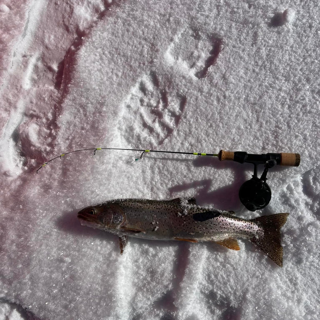 A trout lying on snow next to a Wasatch Tenkara Rods - Ice Breaker ice fishing rod with a cork handle and neon green accents, set against a snowy background with visible boot prints.