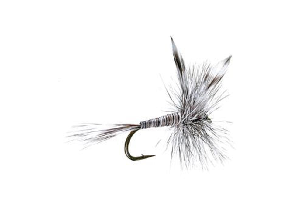 Mosquito Classic Trout Dry Fly Fishing Flies - 1 Dozen Size 12