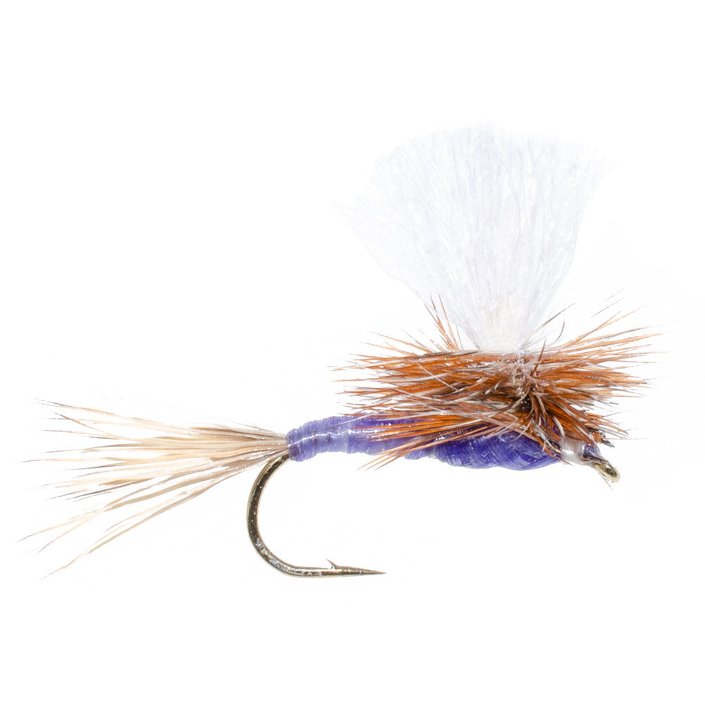 Parachute Purple Haze Dry Fly - 6 Flies Size 12