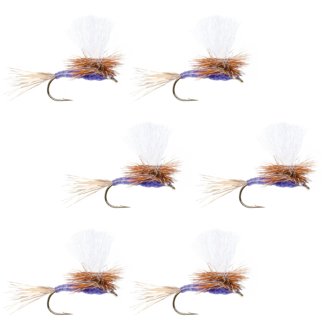 Parachute Purple Haze Dry Fly - 6 Flies Size 12