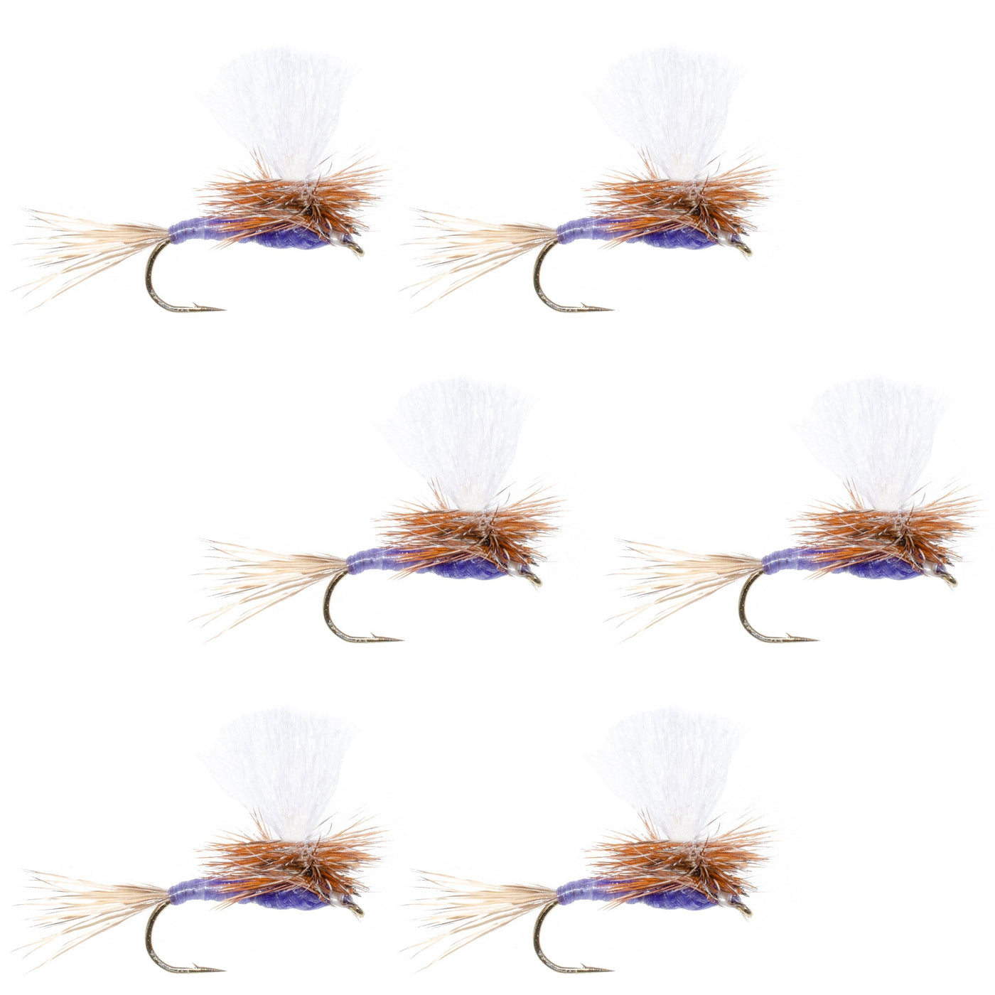 Parachute Purple Haze Dry Fly - 6 Flies Size 14