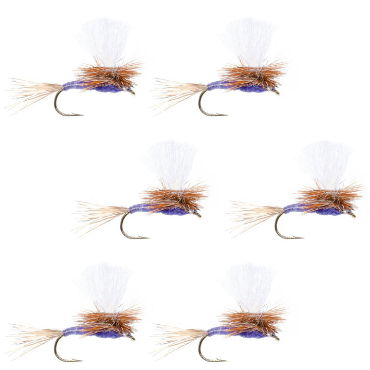 Parachute Purple Haze Dry Fly - 6 Flies Size 16