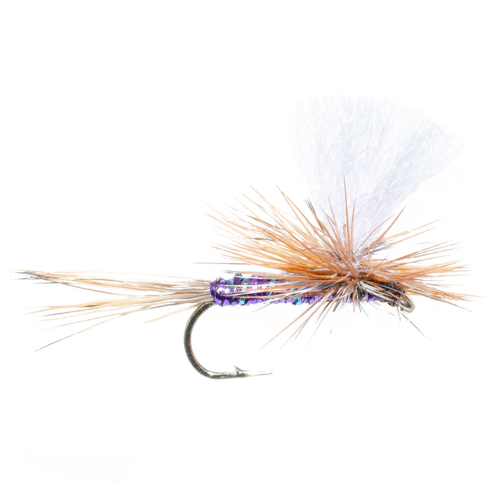 Parachute Super Flash Purple Haze Dry Fly - 6 Flies Size 14