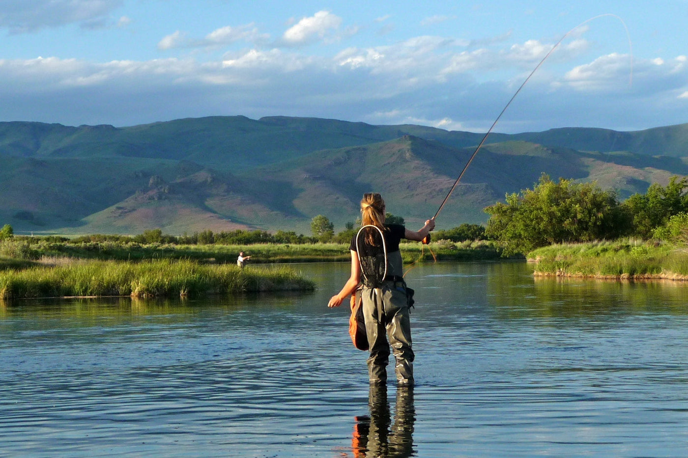 Adams Female Classic Dry Fly - 6 Flies - Hook Size 14