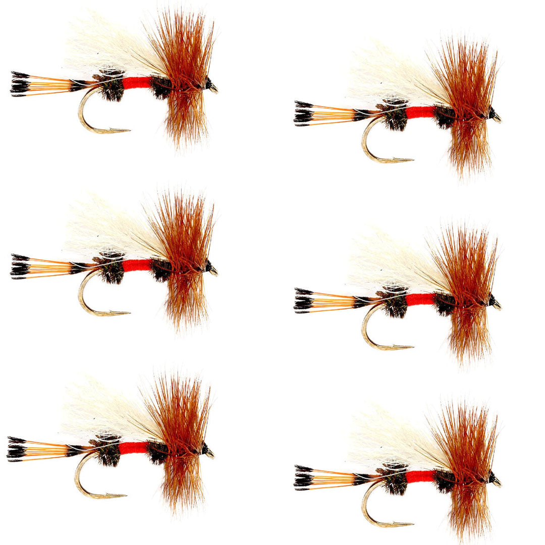 Royal Trude Classic Hair Wing Dry Fly -6 Flies Hook Size 10