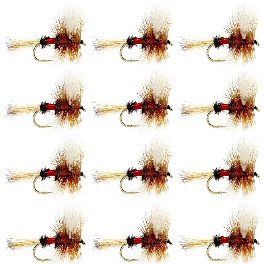 Royal Wulff Classic Trout Dry Fly Fishing Flies - Set of 12 Flies Size 8 - One Dozen