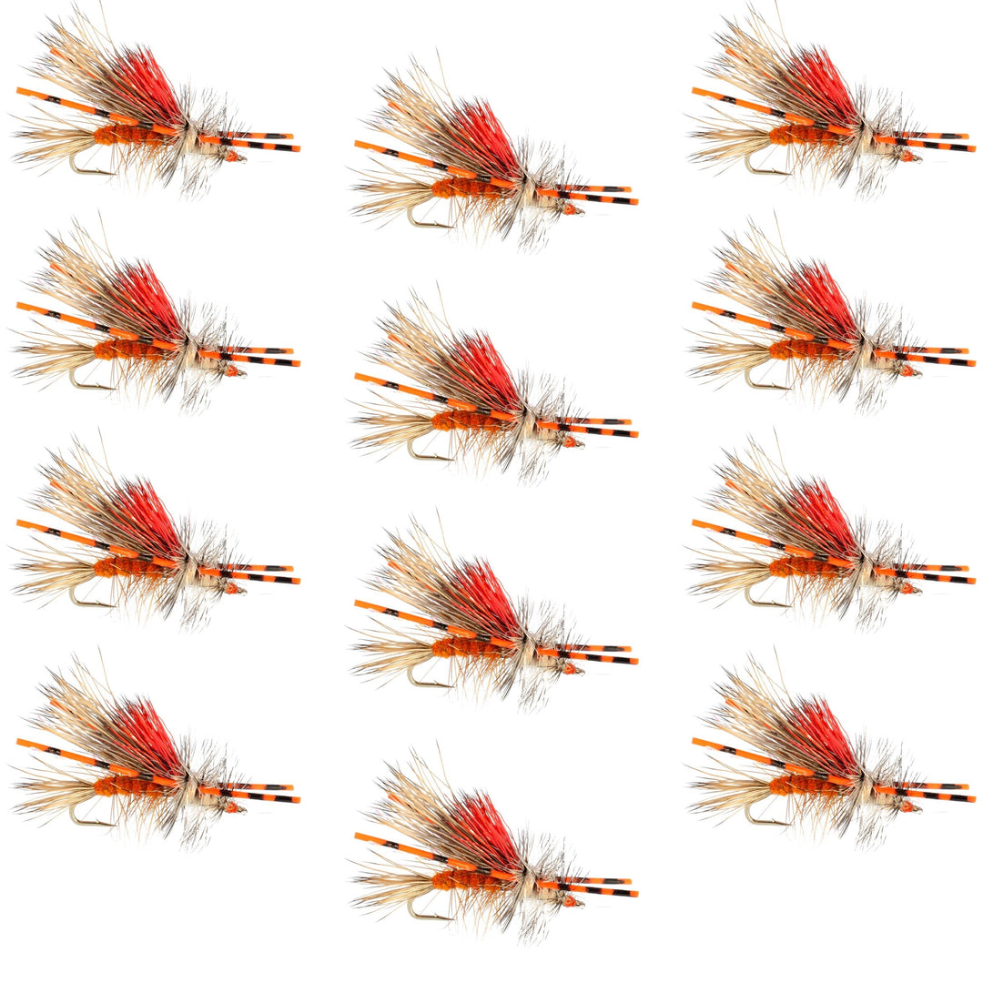 Kaufmann's Orange Crystal Stimulator Rubber Legs Dry Fly - 1 Dozen Flies Hook Size 12