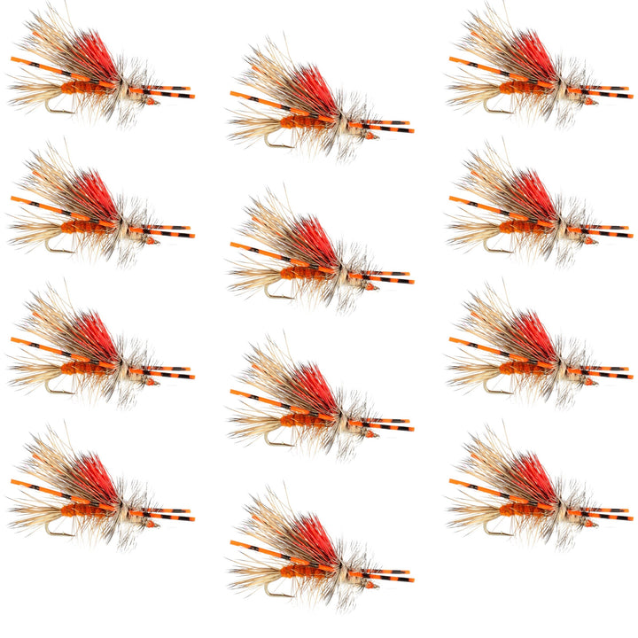 Kaufmann's Orange Crystal Stimulator Rubber Legs Dry Fly - 1 Dozen Flies Hook Size 12