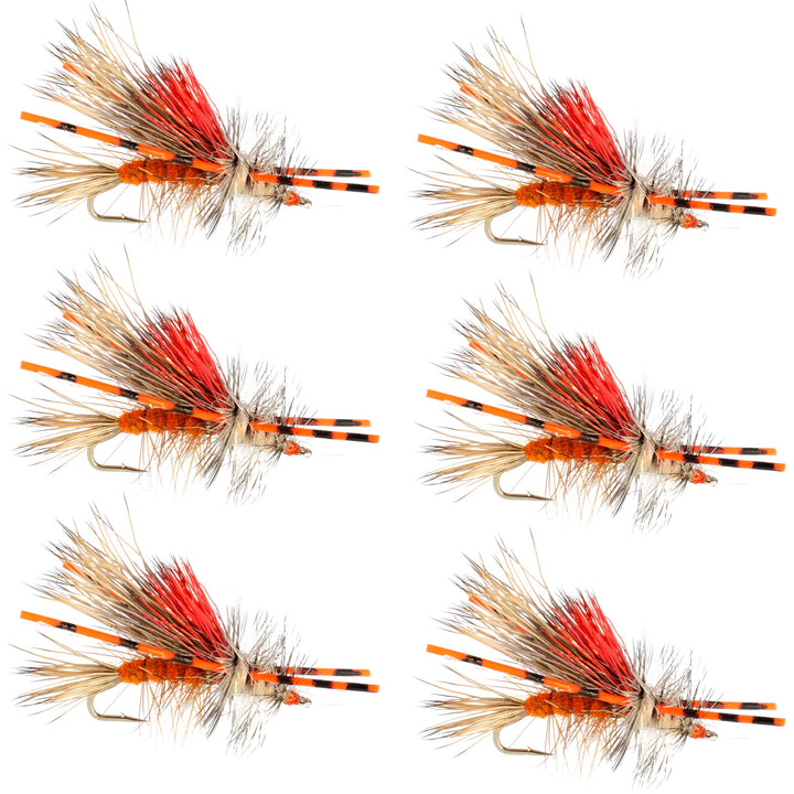 Kaufmann's Orange Crystal Stimulator Rubber Legs Dry Fly - 6 Flies Hook Size 10