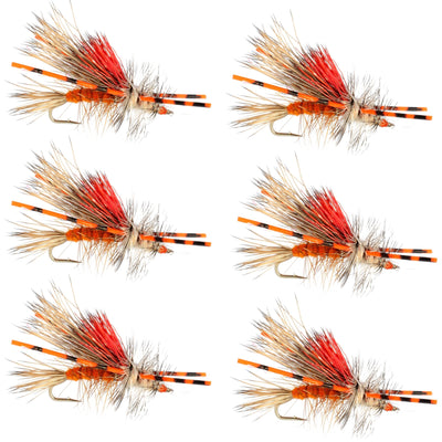 Kaufmann's Orange Crystal Stimulator Rubber Legs Dry Fly - 6 Flies Hook Size 16