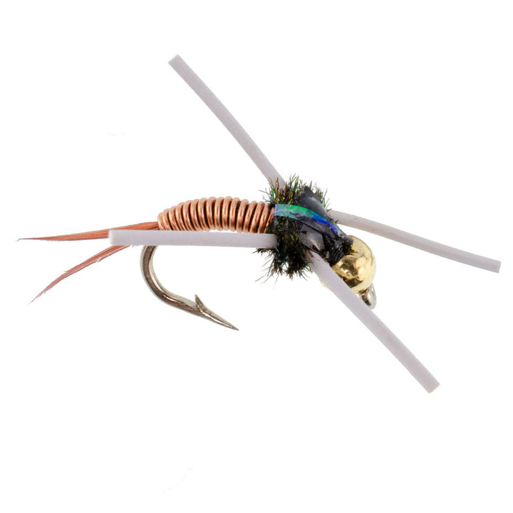 Tungsten Bead Head Rubber Legs Copper John Nymph Fly Fishing Flies - Set of 6 Flies Hook Size 14