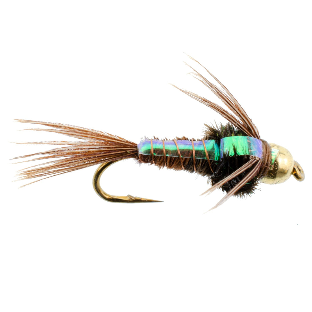 Basics Collection - Bead Head Pheasant Tail Nymph Assortment - 10 Wet Flies - Hook Sizes 14, 16, 18