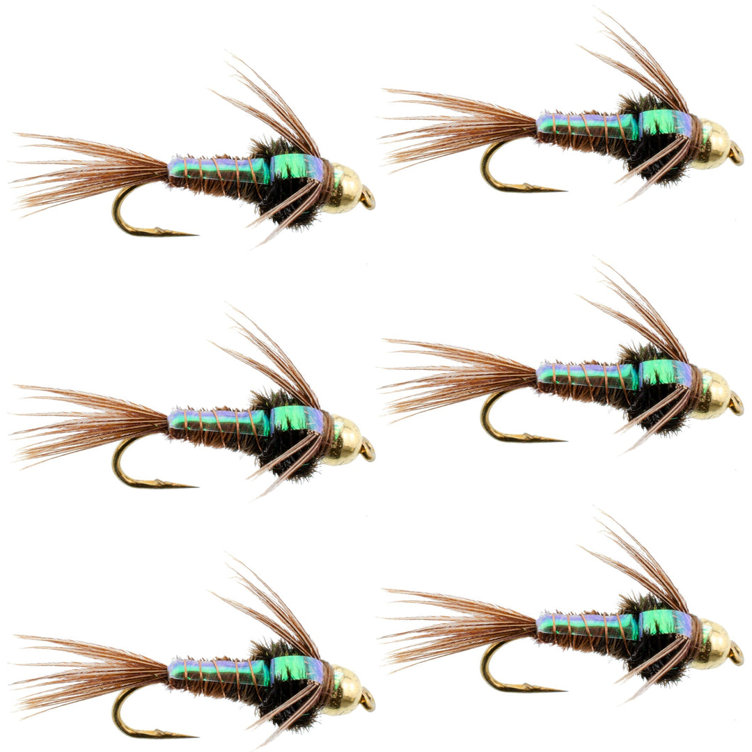 Bead Head Flash Back Pheasant Tail Nymph Fly Fishing Flies - 6 Flies Hook Size 14