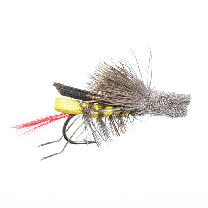 The Fly Fishing Place Basics Collection - Terrestrials Dry Fly Assortment - 10 Dry Fishing Flies - Hopper, Ant and Beetle Fishing Fly Patterns - Hook Sizes 10, 12 and 14